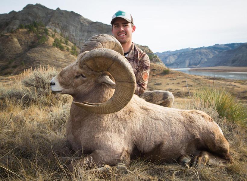 APPLICATION STRATEGY 2017: Montana Sheep, Moose, Goat, Bison - 0d