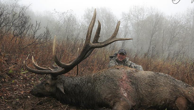 Idaho bull elk taken with deadline outfitters