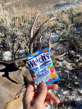 Fruit snacks on hunt