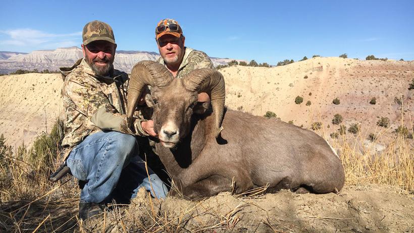 Colorado rocky bighorn sheep taken with roosters guide and outfitting adventures_0