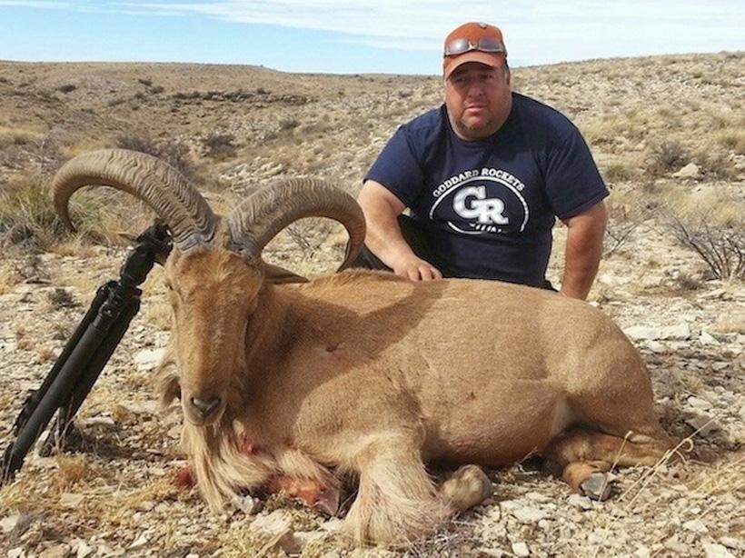New mexico barbary sheep taken with ridgeline outfitters