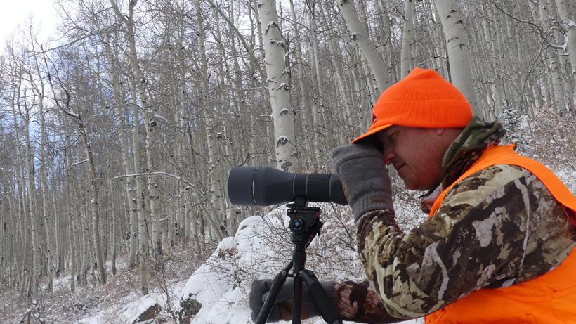 Glassing for over the counter colorado elk