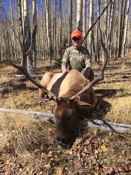 APPLICATION STRATEGY 2017: Colorado Elk and Antelope - 7d