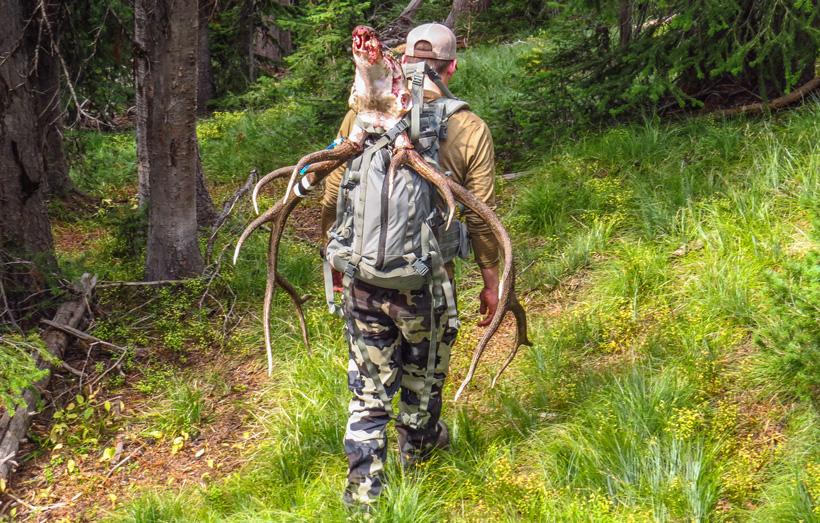 Practical scouting strategies for elk: Part 3 - 0