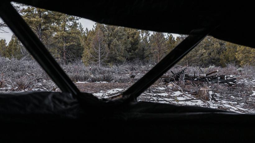 Turkey hunting blind
