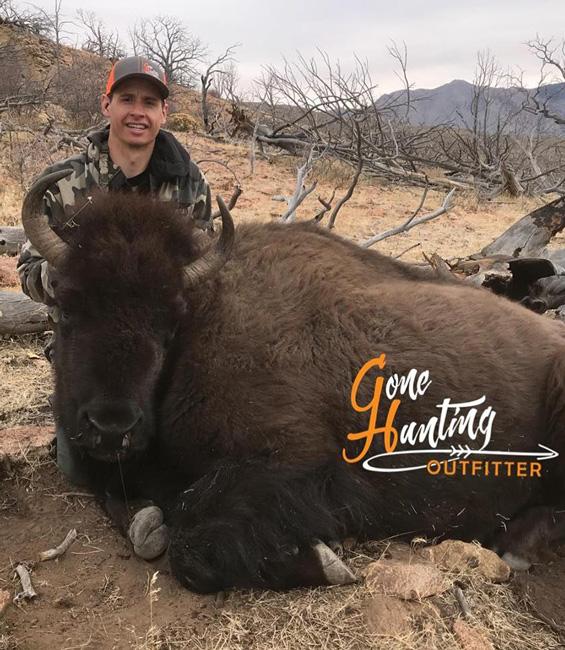 Utah henry mountain cow bison taken with gone hunting outfitters