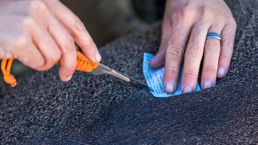 Punching a tag with a Tyto replaceable blade knife