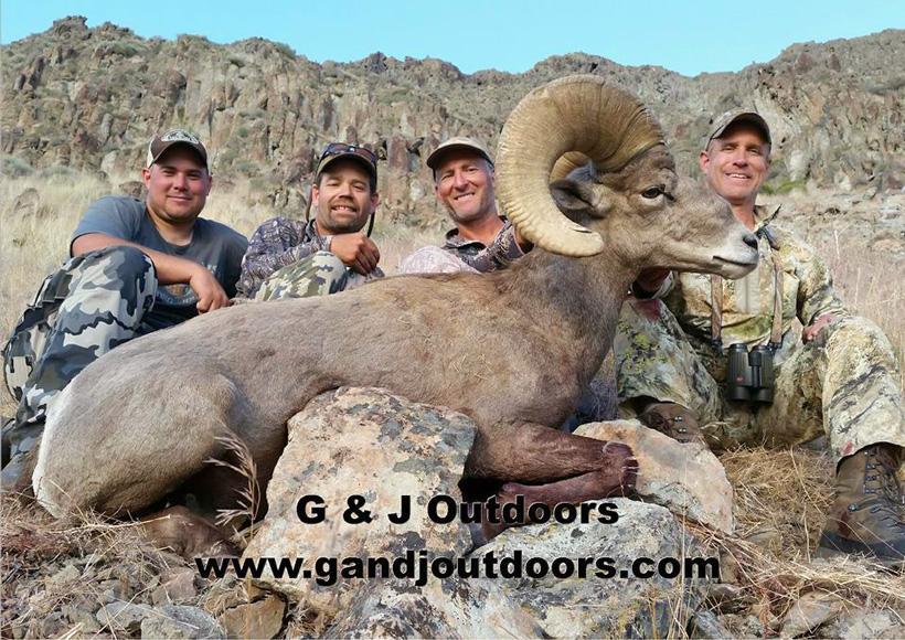 Nevada california bighorn sheep taken with g and j outdoors