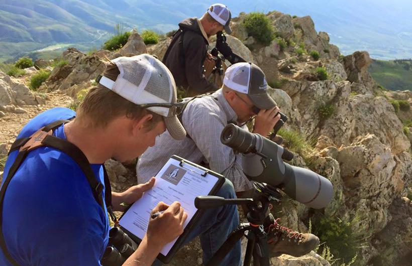 Rocky Mountain Goat Alliance volunteers