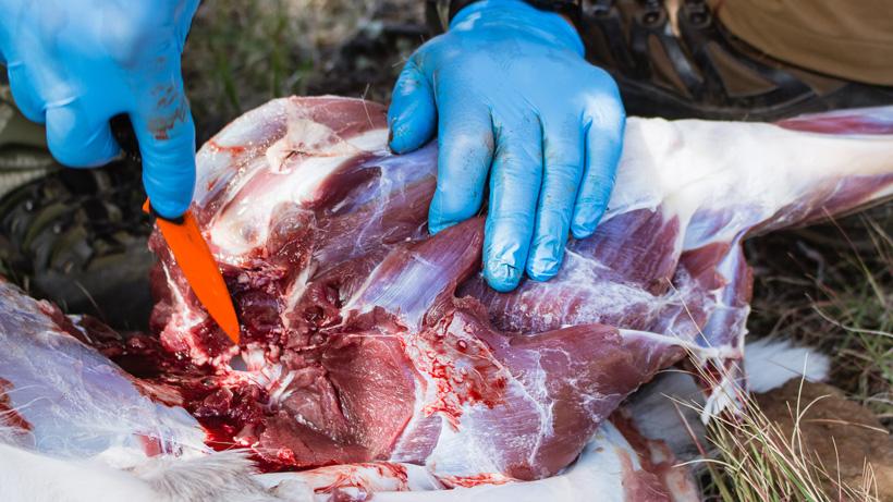 What’s the best way to pack game meat: Bone in or bone out? - 0