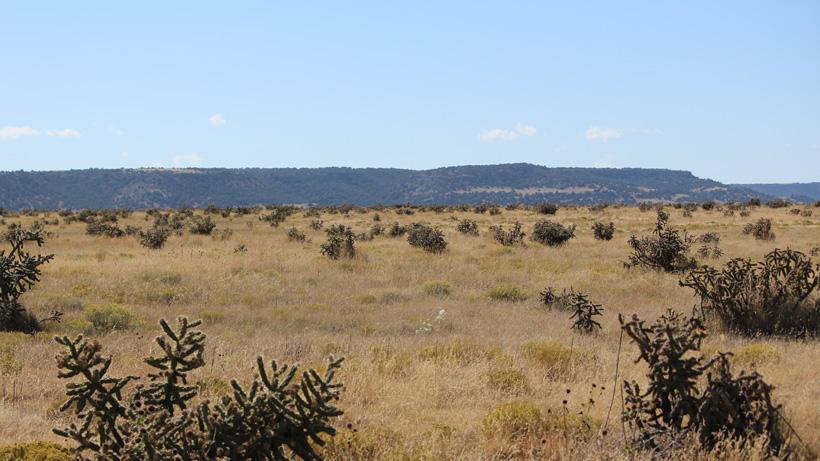 Typical colorado antelope hunting terrain