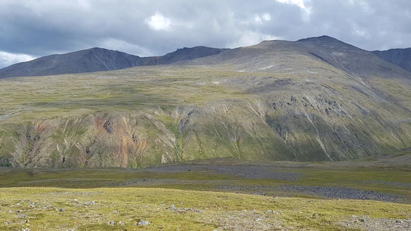 New Dall sheep hunting location