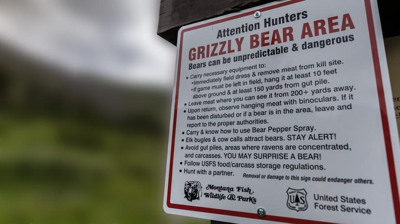 How to camp safely in grizzly bear country - 6