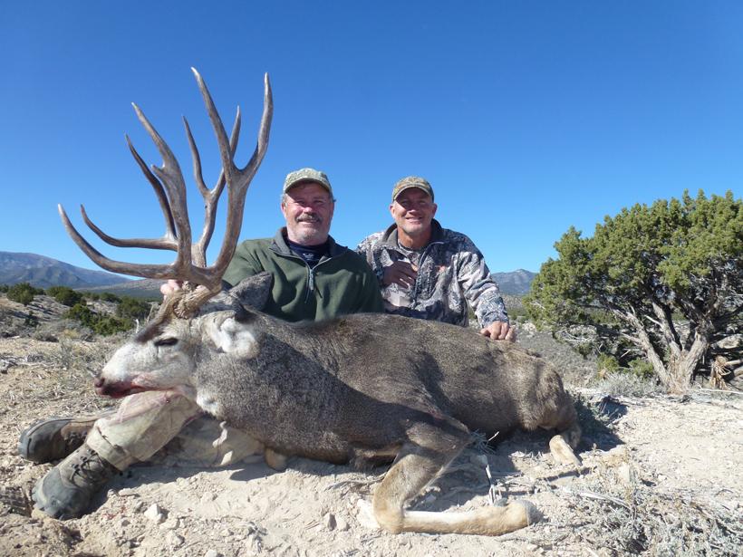 Nevada mule deer guided draw - 1