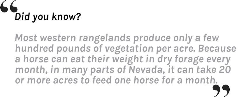 APPLICATION STRATEGY 2015: Nevada mule deer, elk & antelope - 9d