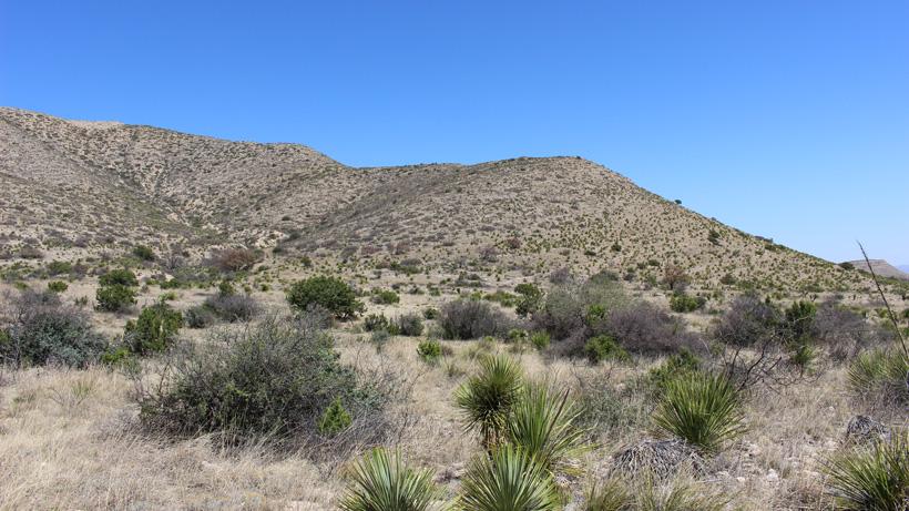 Texas aoudad hunting scenery