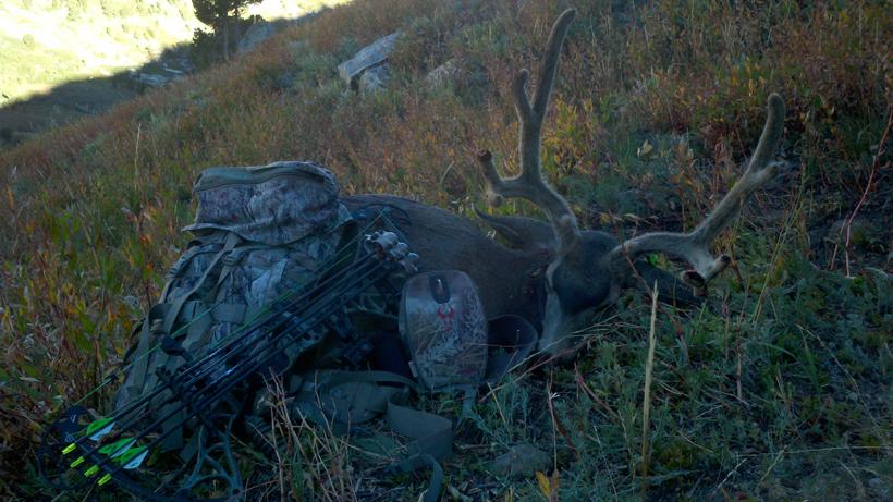 Nevada solo archery1