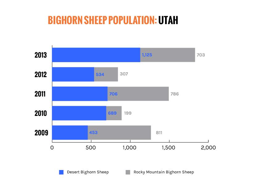 Bighorn numbers across 6 states - 6