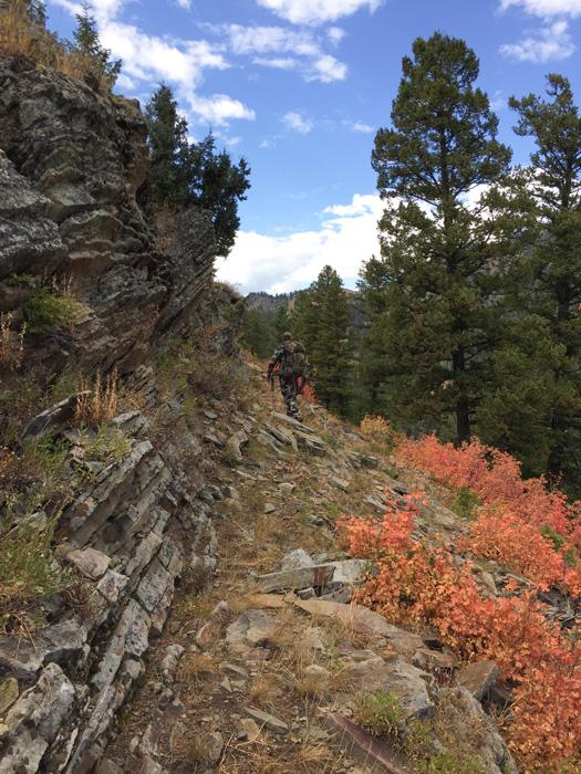 Never ending search for elk