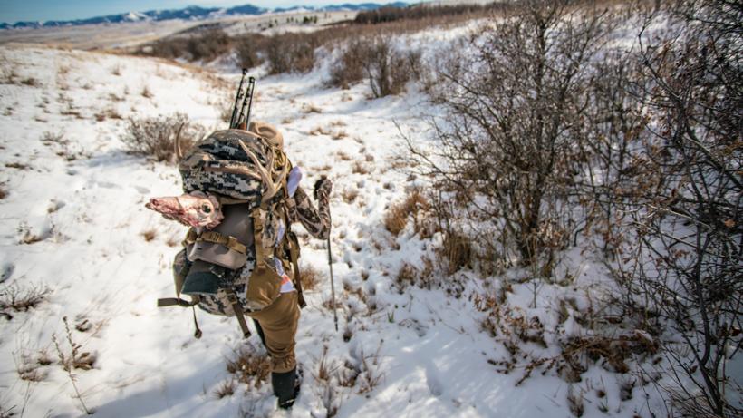 Awright tips for the midwestern hunter