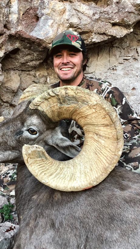 Scott drescher desert bighorn