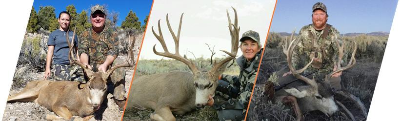 How to apply for Nevada’s 2017 mule deer guided draw - 2d