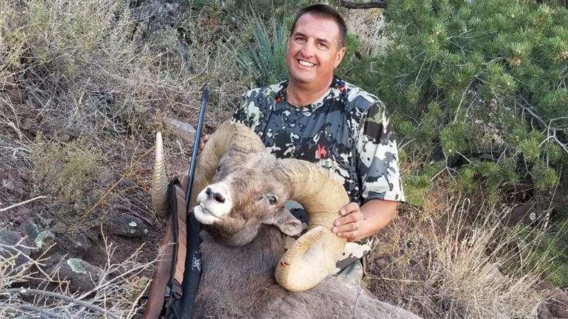 Jeff brown bighorn sheep