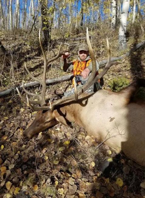 Two Utah families convicted of poaching more than a dozen elk - 0