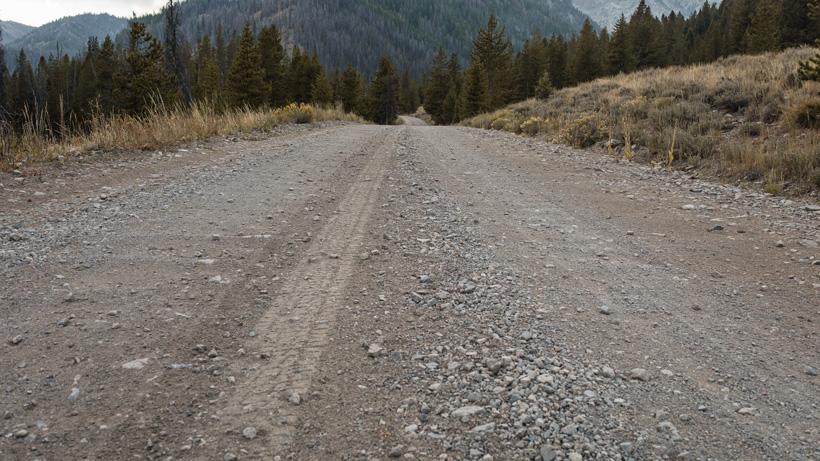 Driving roads in the summer to scout for fall hunts