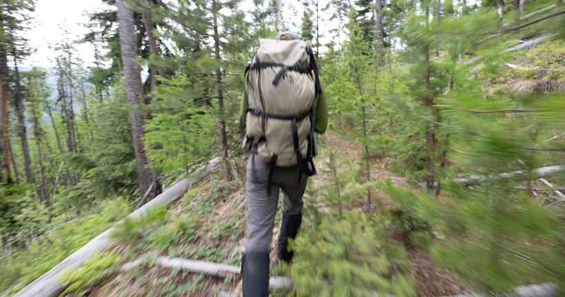 Bear hunting montana hiking