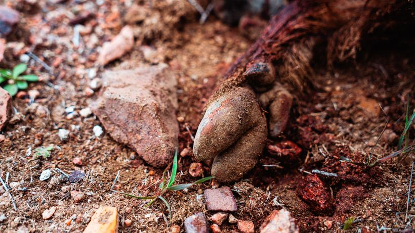 Level up your next archery hunt kirchner 5