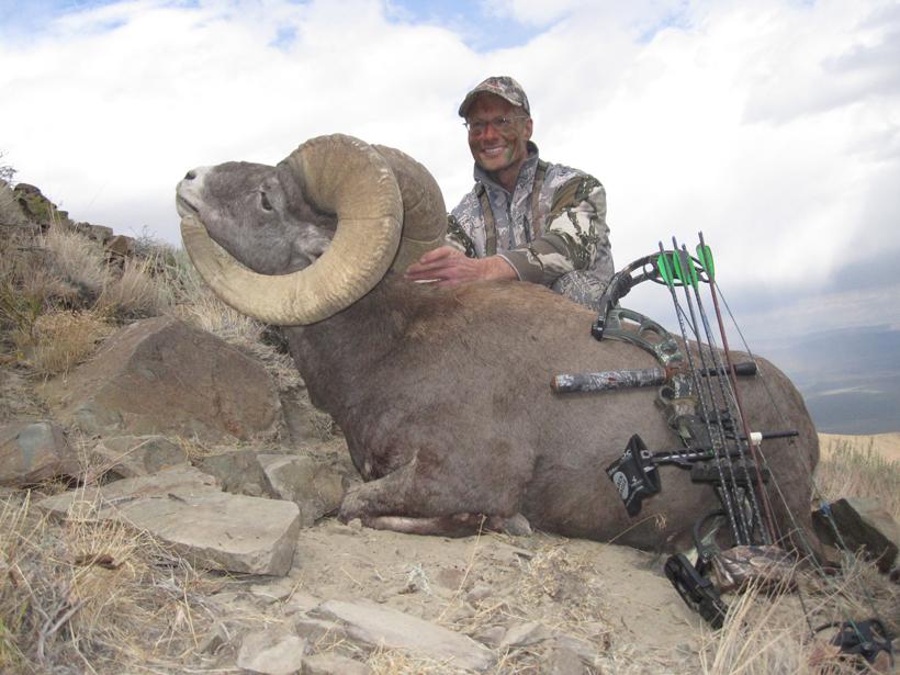 Nevada california bighorn sheep g and j outdoors