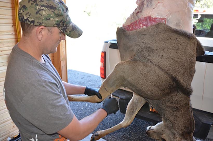 Cut three around front leg