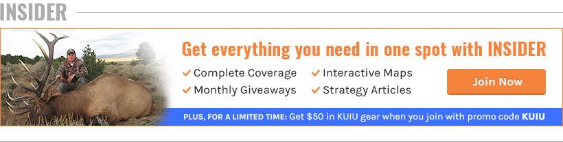 Article INSIDER benefits white