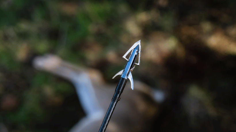The lethal factors behind your broadheads - 1
