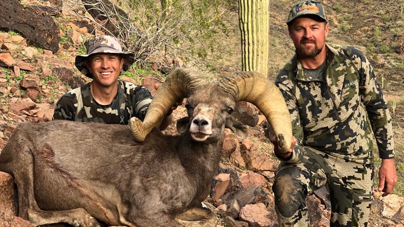 Brandon leister bighorn sheep