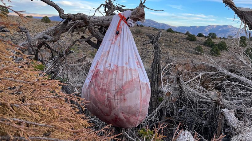 GOHUNT pack out game bag hanging in tree
