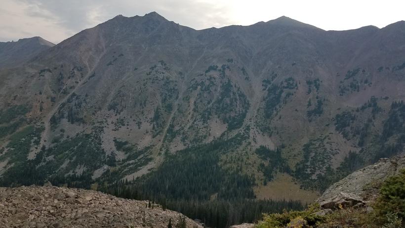 Glassing for Colorado bighorn sheep