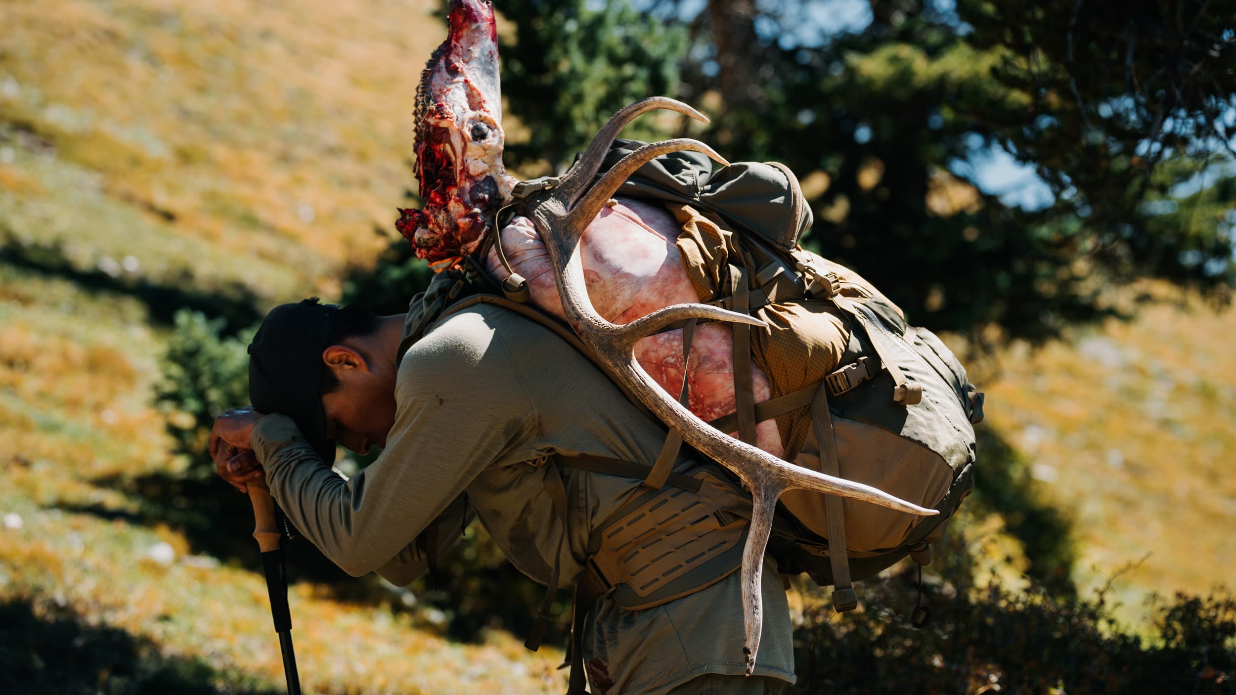 Packing out elk meat and rack after successful bowhunt