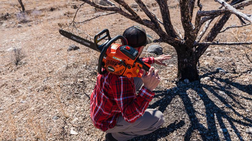 Talking about the tree limbs