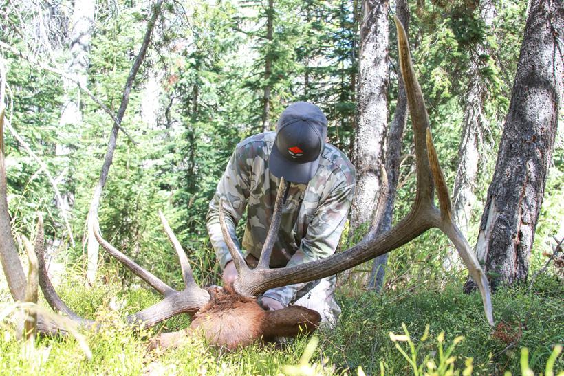 5 proven elk hunting tactics to increase success - 8