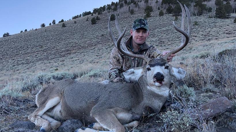 How to apply for Nevada’s 2020 nonresident mule deer guided draw - 10d