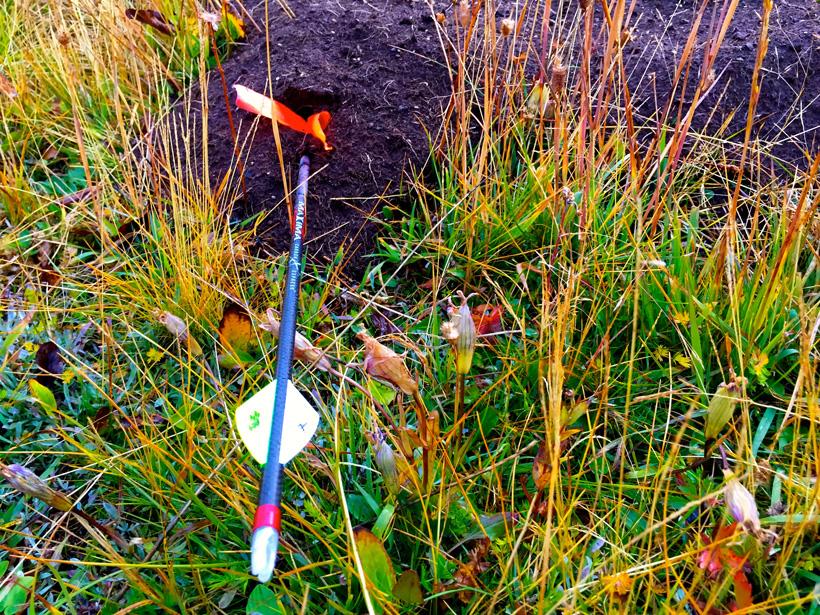 Practice bowhunting shots on a dirt mound while out hunting