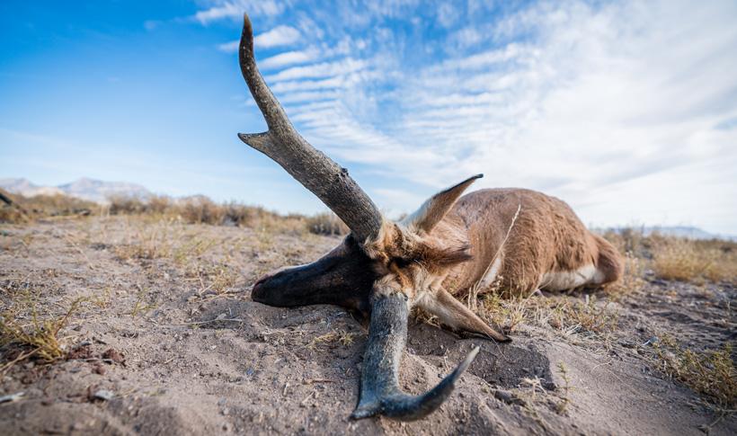 Brady Miller's 2019 Nevada antelope gear list - 0d