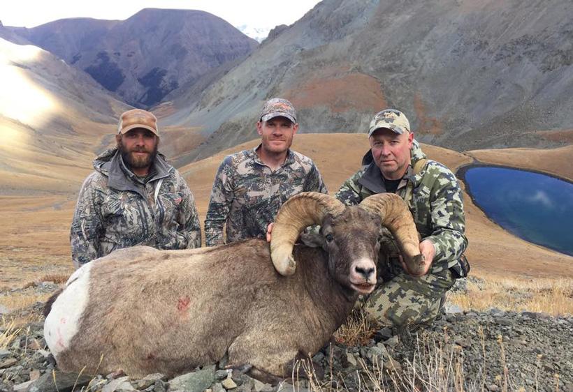 Large bighorn ram taken with shoshone lodge outfitters