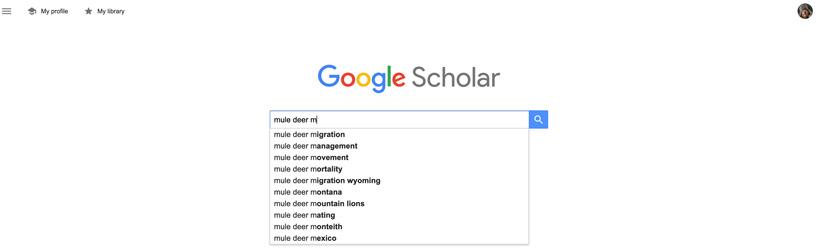 Using Google Scholar to find mule deer biology reports and peer reviewed research papers
