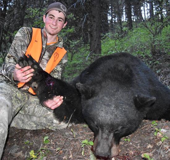 Wyatt oday 2017 montana black bear straight on view