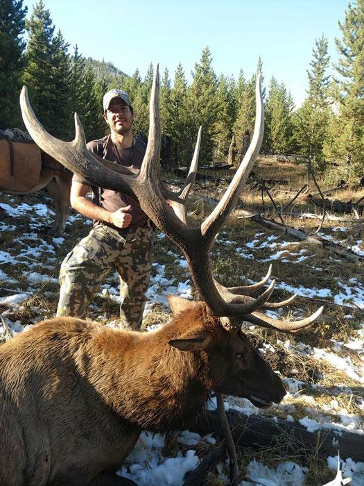 APPLICATION STRATEGY 2018: Montana Elk - 3d