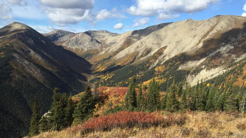 Mountain habitat for stone sheep