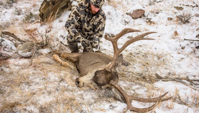 Brady miller montana archery mule deer